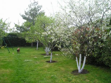 Image Sale house paulnay  2