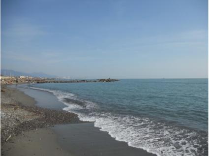 Image Rent apartment montignoso massa-carrara 2