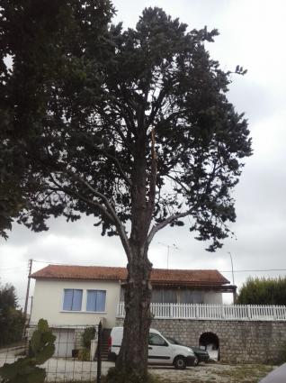 Image Sale house ruelle sur touvre angoulême 2