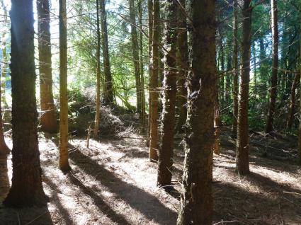 Image Rent land la motte st-brieuc 2