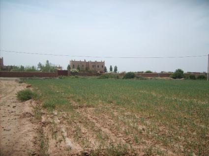 Image Sale land marrakech , marocco marrakech 2