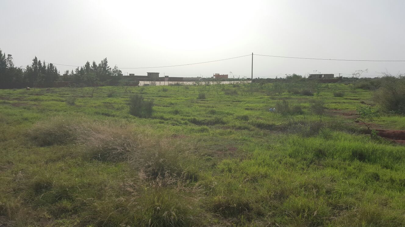 Image Sale villa souiria laqdima safi 1