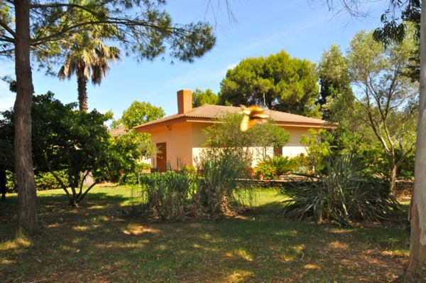 Image Sale house peuton laval 2