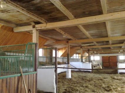 Image Sale farm rabe  2