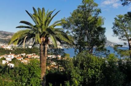 Image Sale villa saint jean cap ferrat nice 2