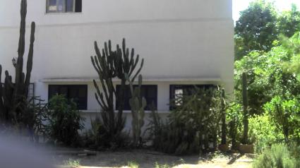 Image Sale farm agadir  3