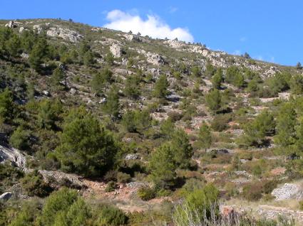 Image Sale farm pratdip tarragone 3