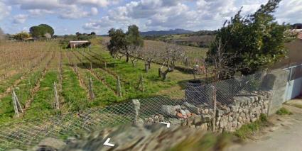 Image Sale land bassacutena comune di luogo santo  3