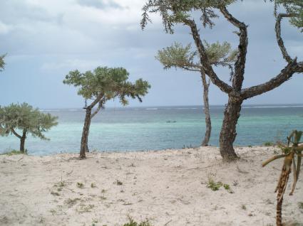 Image Sale land tulear  1