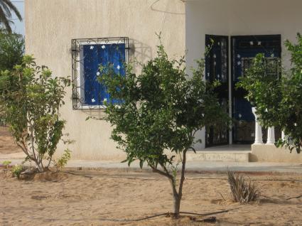 Image Rent villa djerba midoun tezdaîne medenine 3