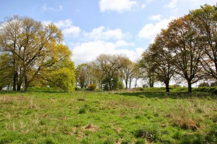 Image Sale house saint dolay  3