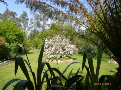 Image Sale house scamander scamander 3