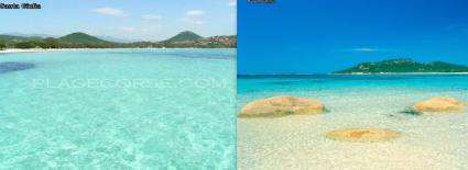 Image Rent apartment porto-vecchio  1