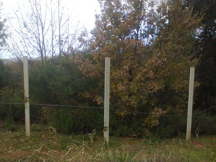 Image Sale land santa domenica talao cosenza 3