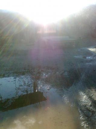 Image Sale farm ameglia la-spezia 3