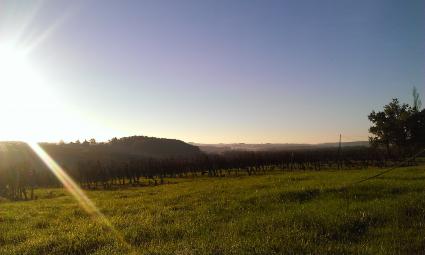 Image Rent gite rouffignac de sigoules périgueux 3