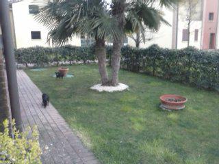 Image Sale villa roverbella  3