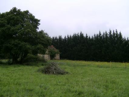 Image Sale land sergenaux  3