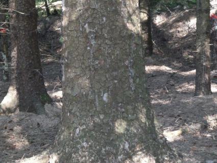 Image Rent land la motte st-brieuc 3