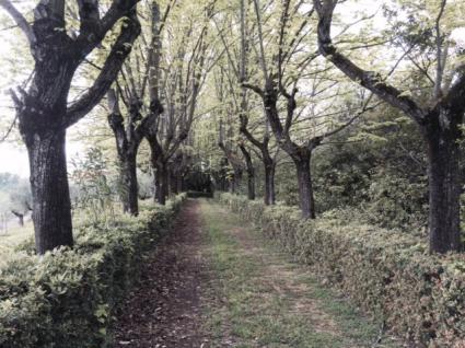 Image Sale villa castilenti teramo 3