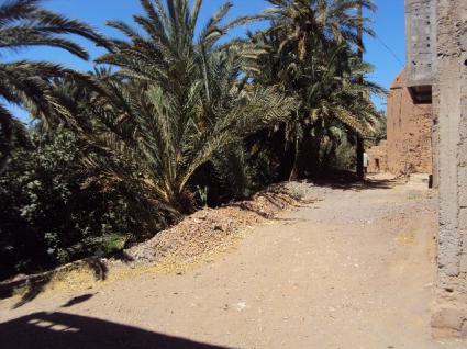 Image Sale house isfoutalil ouarzazate 3