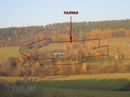 Image Sale farm rabe  3