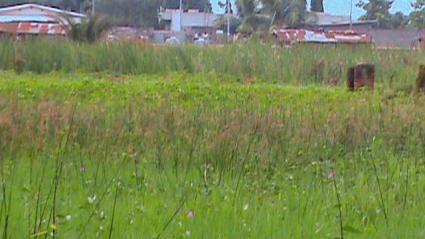 Image Sale land cotonou  3