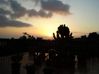 Image Sale villa puntir? palma de majorque 3