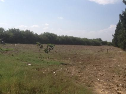 Image Sale land boujerdga boumhel bassatine ben arous 4