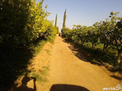 Image Sale farm marrakech  4