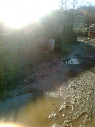 Image Sale farm ameglia la-spezia 4