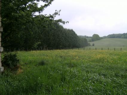 Image Sale land sergenaux  4