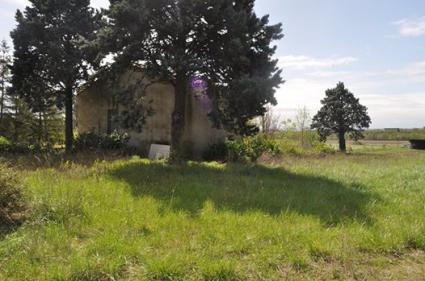 Image Sale land 11170 carcassonne 4