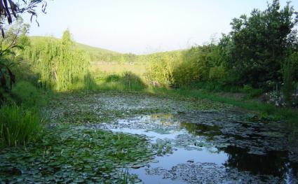 Image Sale villa alghero sassari 3