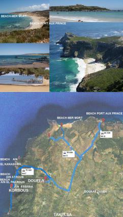 Image Sale land takelsa douela kelibia 4