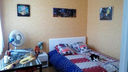 Image Rent apartment lille lille 4