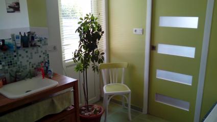 Image Sale house peuton laval 4