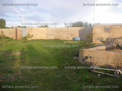 Image Sale farm soliman takilsa brij nabeul 1