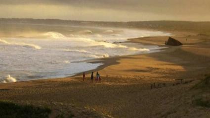 Image Sale house arachania, la paloma  4