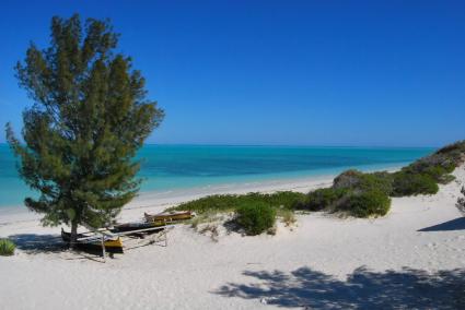 Image Sale land andravona  4