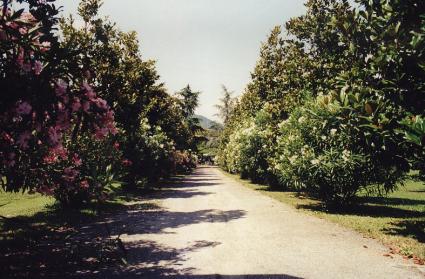 Image Sale house bassano del grappa vicenza 5