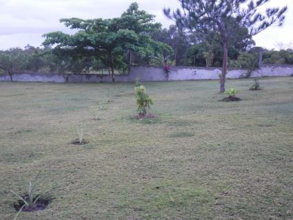 Image Sale house 23km de tamatave  4