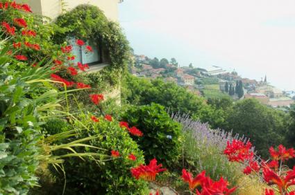 Image Sale apartment pianello del lario como 5