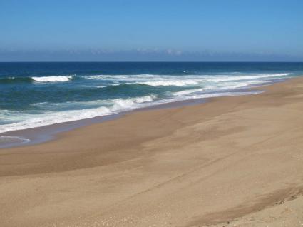 Image Sale land maldonado josé ignacio  1