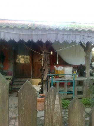 Image Sale farm ameglia la-spezia 5