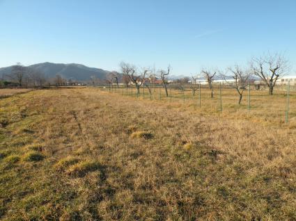 Image Sale farm borgo san dalmazzo cuneo 5