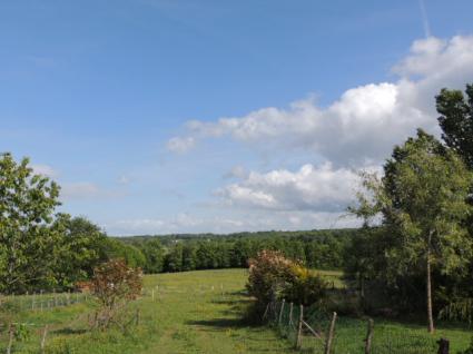 Image Sale house lanouaille périgueux 5