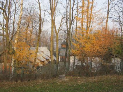 Image Sale farm rabe  5