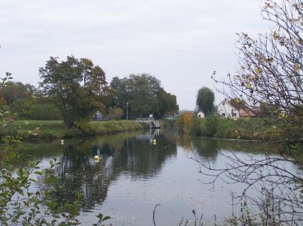 Image Rent apartment colmar colmar 5