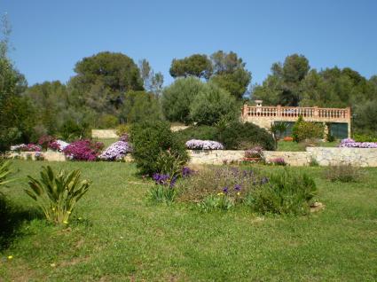 Image Sale villa puntir? palma de majorque 5